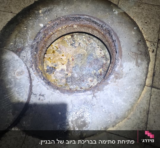פתח ביוב עם לכלוך ופסולת